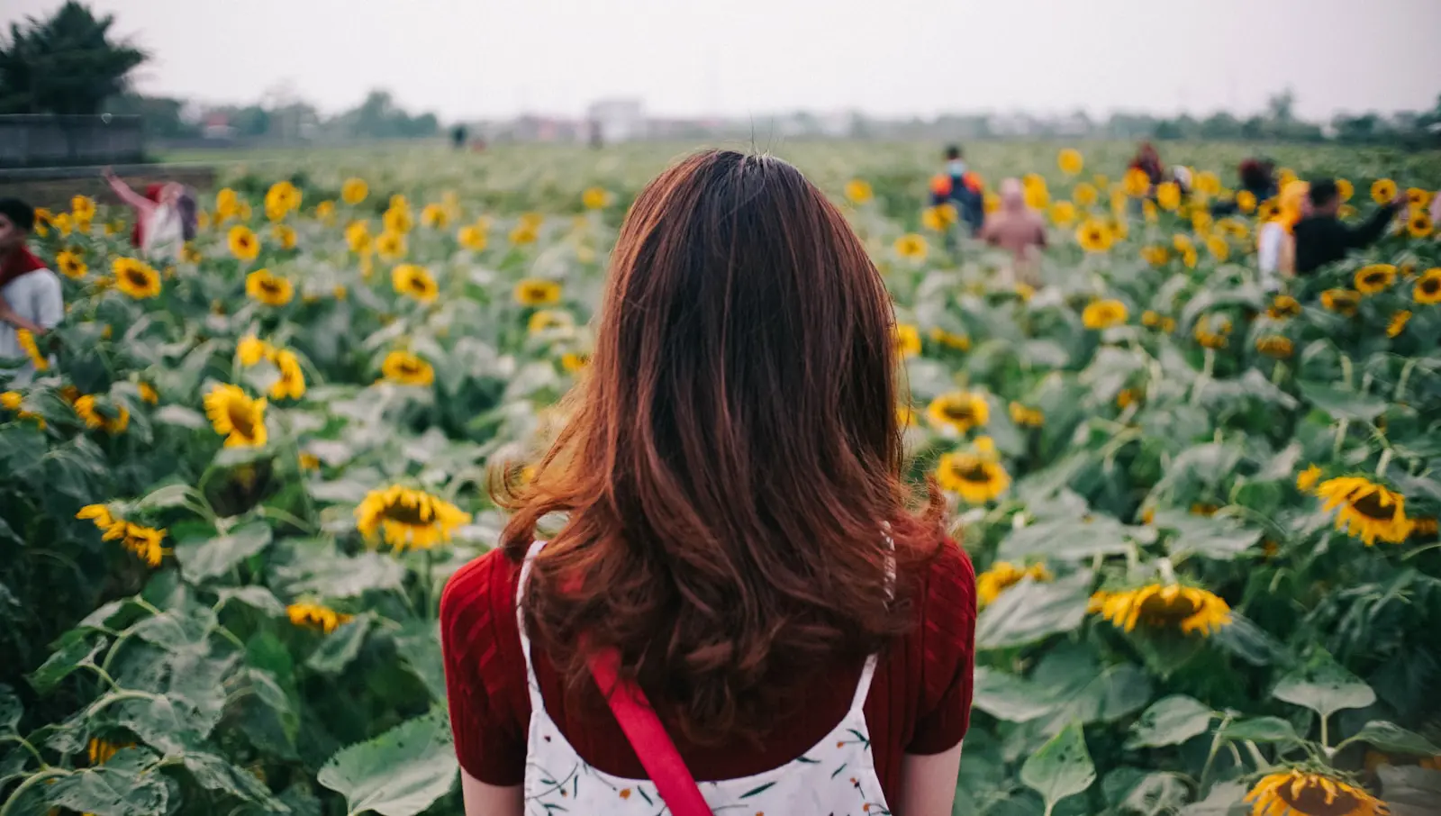 a woman standing in a field of sunflowers