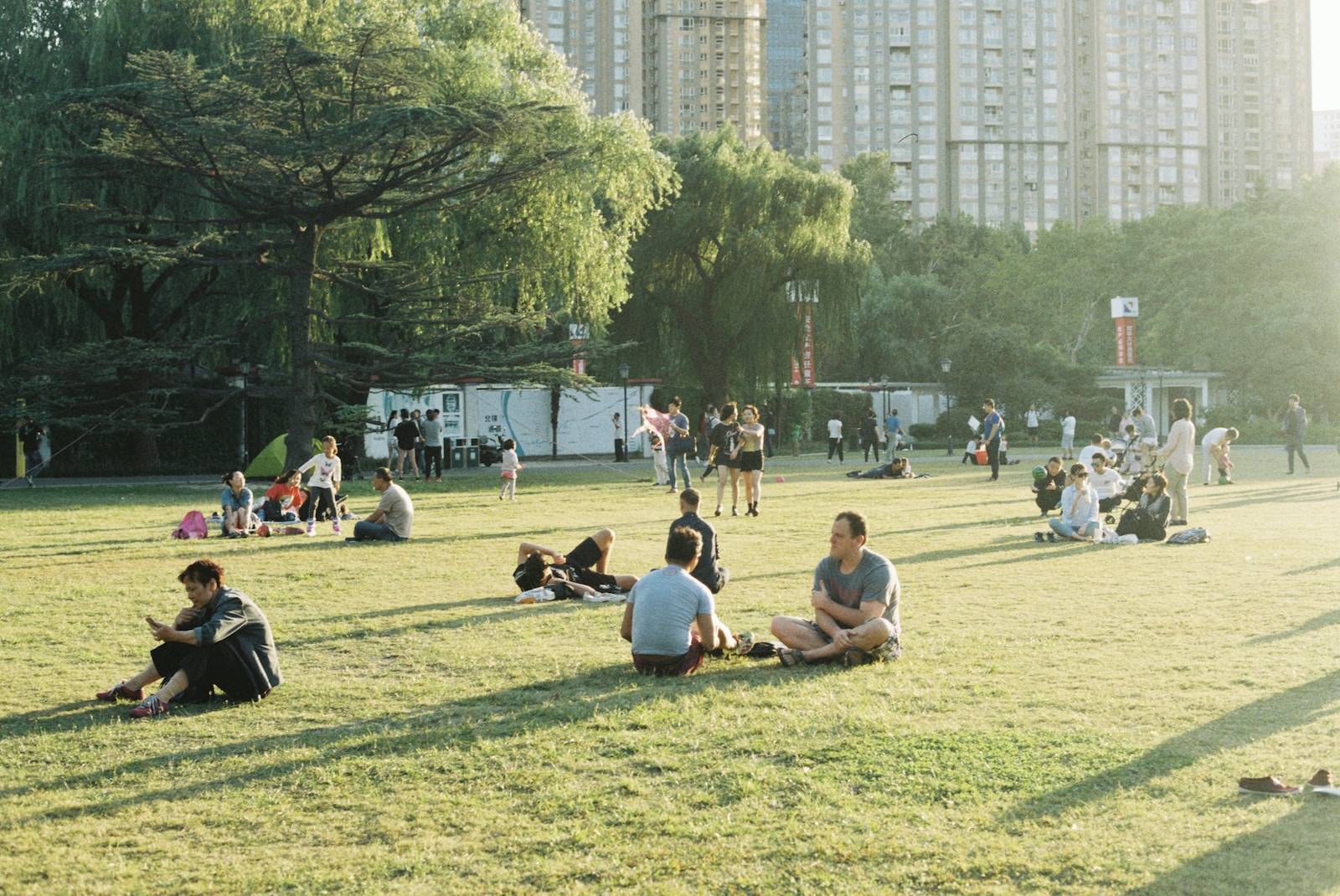 people sitting on green grass field during daytime